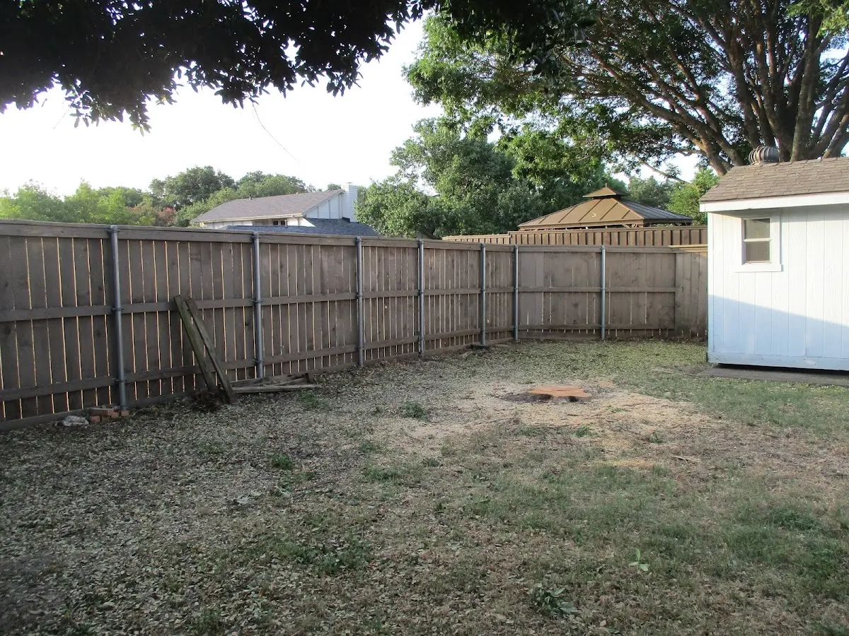 Cleared yard after professional tree removal in Bristol